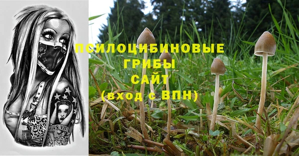 бошки Абдулино