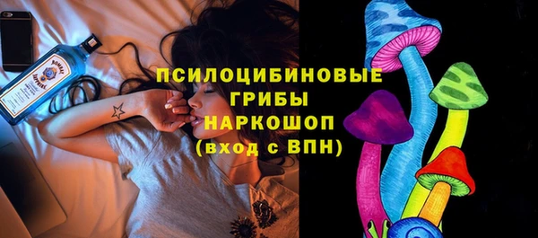 СК Алексеевка
