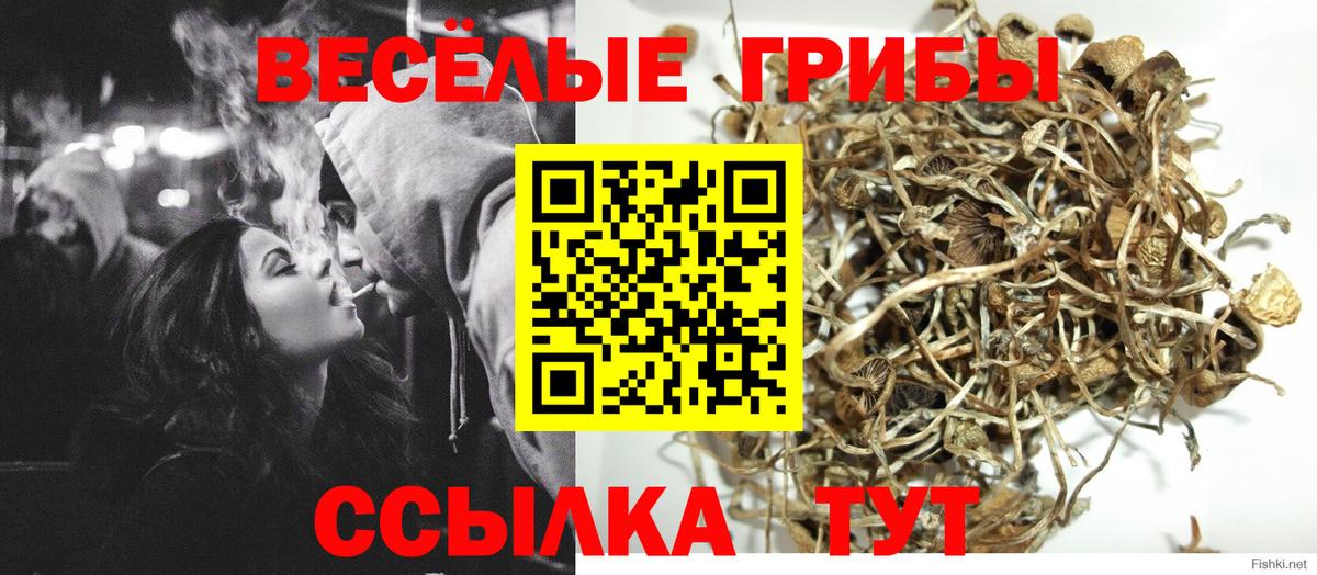 Алексеевка  Галлюциногенные грибы MAGIC MUSHROOMS  Вход с VPN 