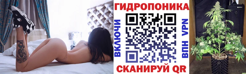 МАРИХУАНА план даркнет сайт Алексеевка